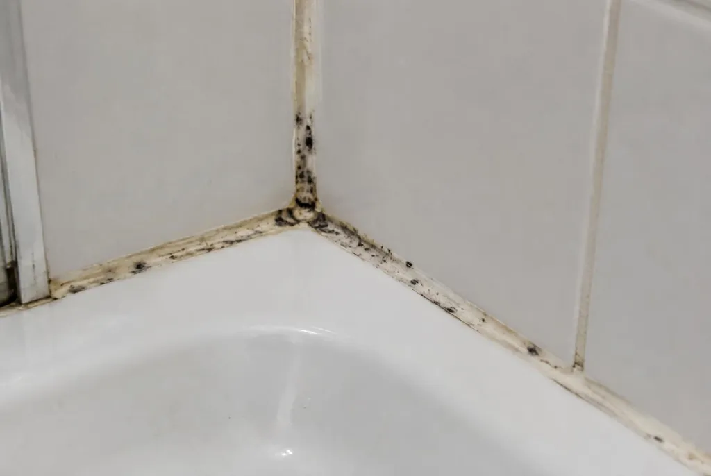 Kitbedrijf Vleuten – beschimmelde kitranden